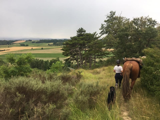  Breve pausa duranle el paseo a caballo 