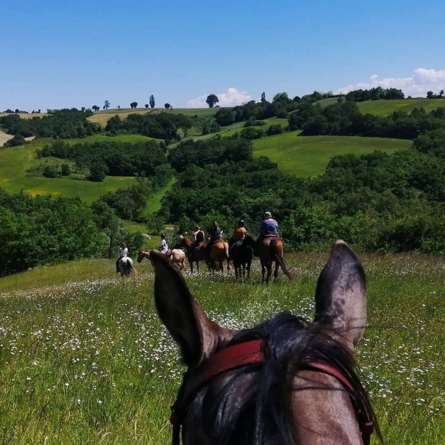  Los bellos valles de Ariège 
