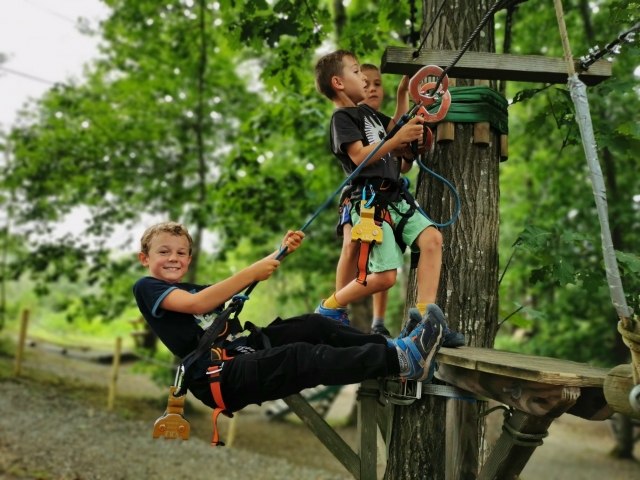  La escalada de árboles es una maravilla en Bosdarros 