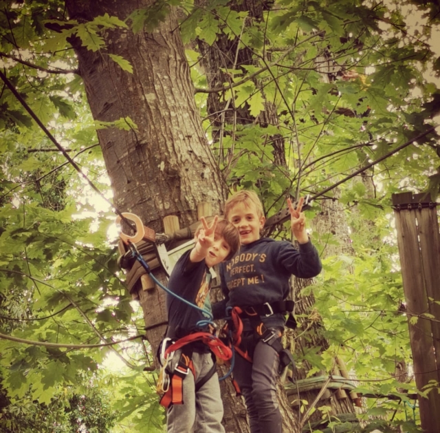  La alegría de los niños cuando se divierten trepando a las copas de los árboles 