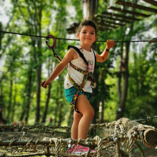  Diversos cursos de aventura en las copas de los árboles 