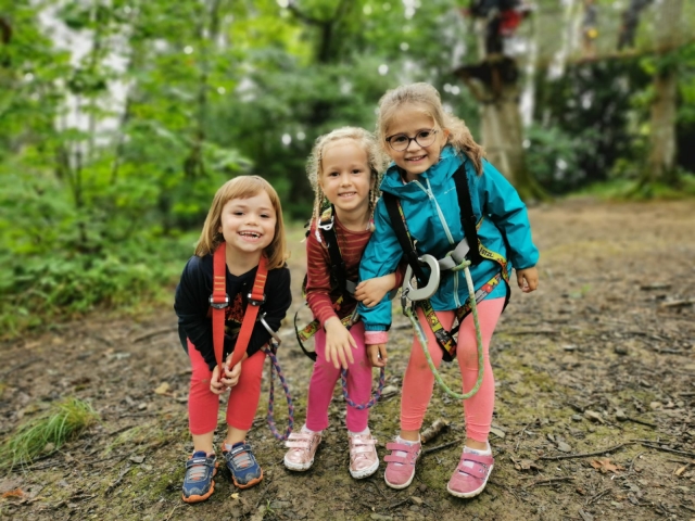  Escalada de árboles con amigos en Bosdarros 