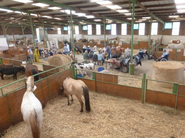  Los establos de caballos en el Granja ecuestre Doullens 