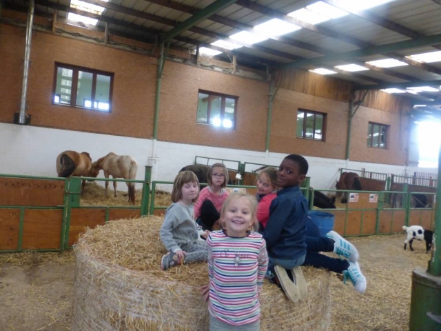 La alegría de los niños con los animales 