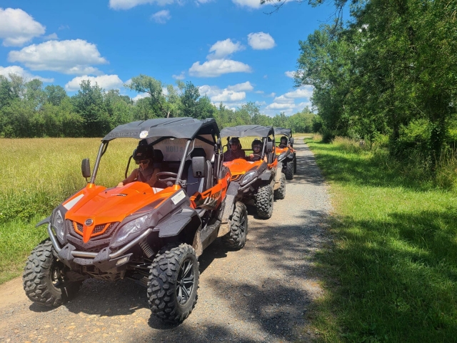  Buggies de calidad le esperan en Bréhémont 