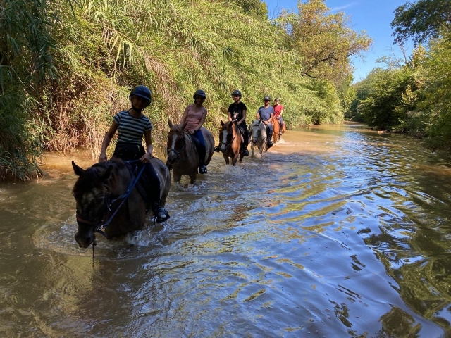 Pbaños a caballo en medio del río