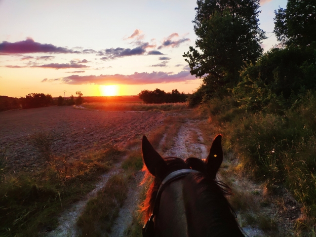  Pbaños a caballo al atardecer 