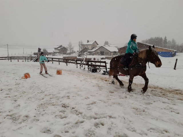  Sesión de esquí a caballo 