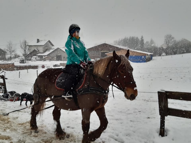 Sesión de ski joëring en la nieve 