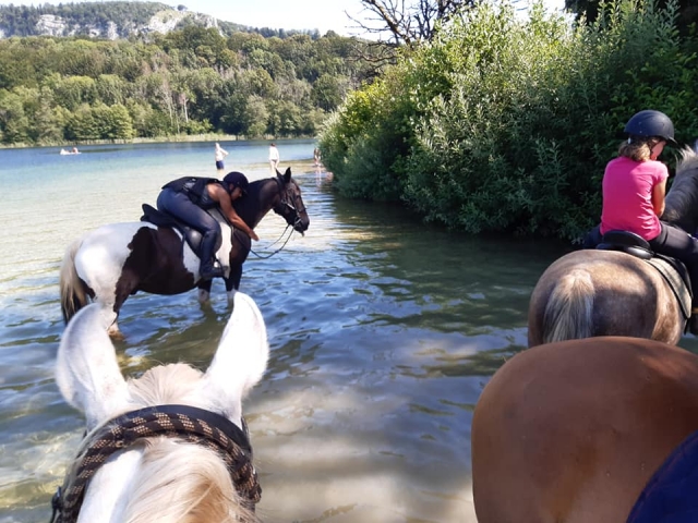  Pbaños a caballo refrescantes 