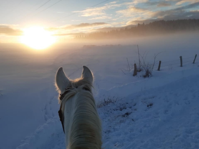  Pbaños a caballo al atardecer 