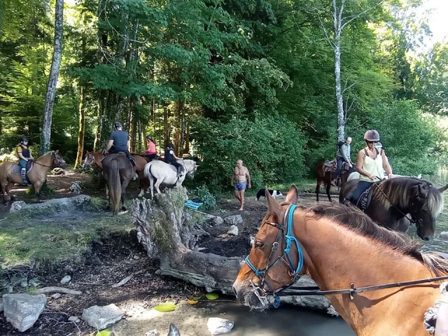  Breve descanso para nuestros caballos 