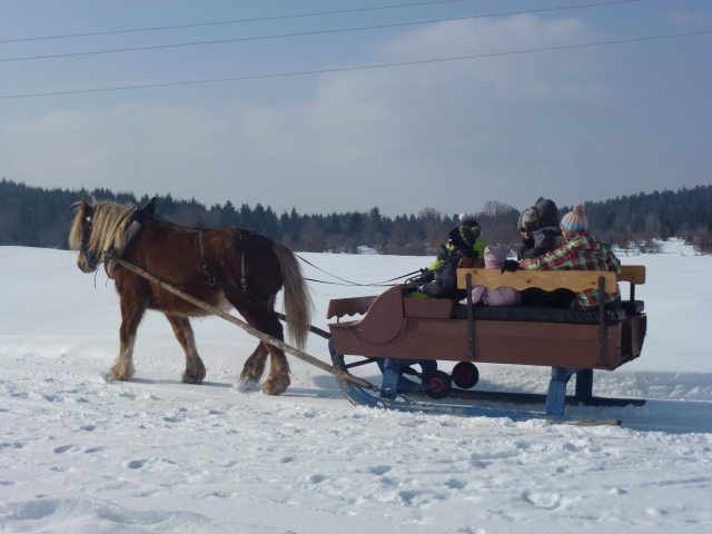 Paseo en trineo de caballos por el Jura 