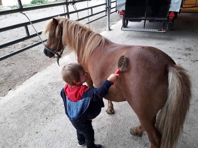  Preparando el pony 