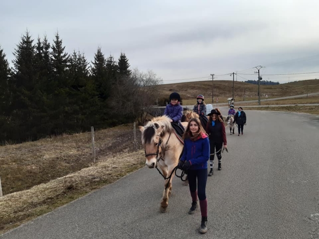  Paseo en pony en la mano 