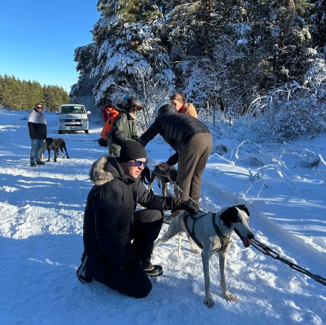  Primera vez manejando un kart con perros 