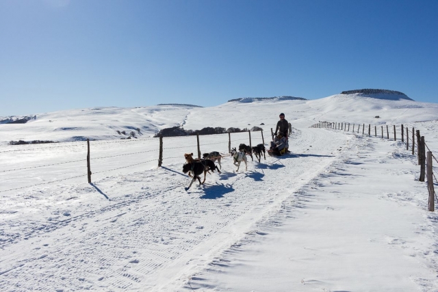Bautismo de mushing en la Châine des Puys 1h30