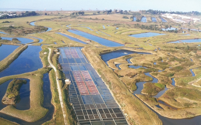 Estuario del Loira 