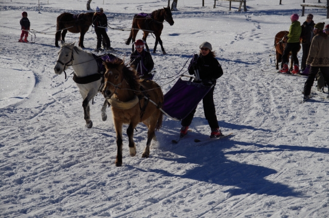  Actividad original en invierno 