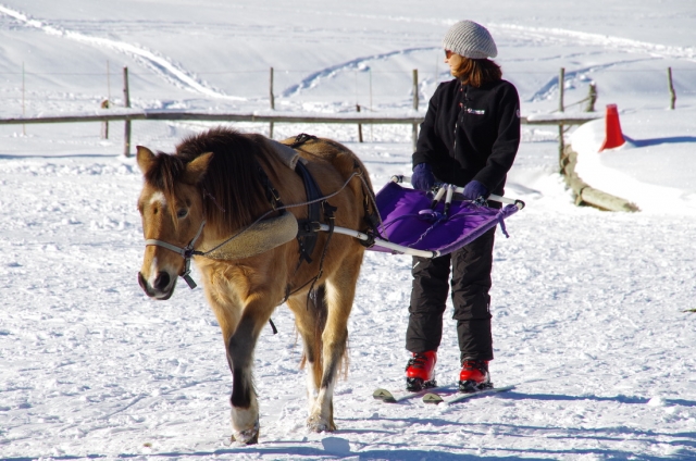  Déjale llevar por un caballo 