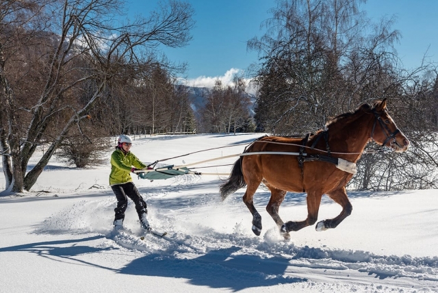 Descarga de adrenalina duranle el Ski Joëring 