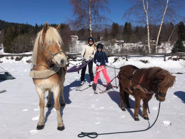  Ski Joëring acompañado de un equino de su talla 