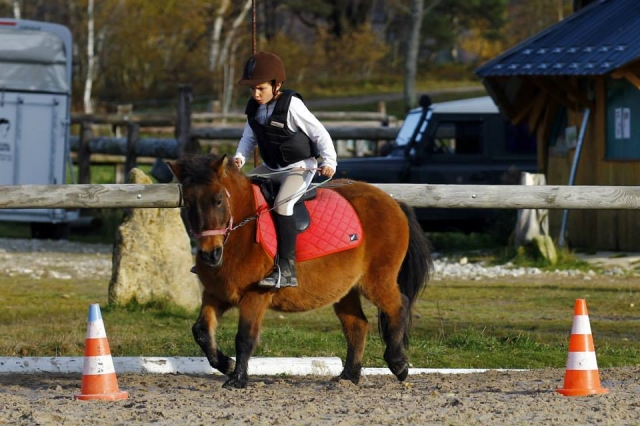  Descubrimiento del mundo ecuestre en un paseo en pony 