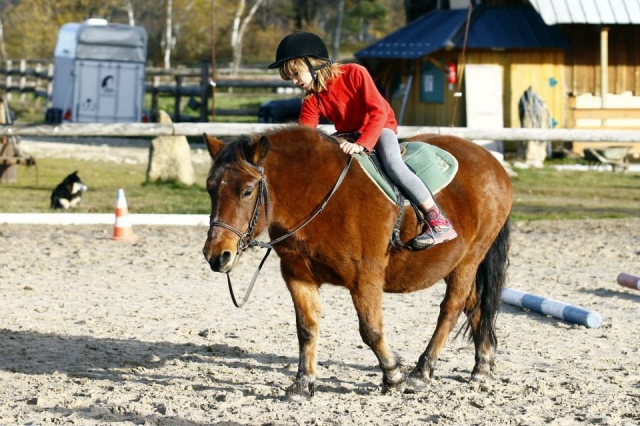  Pequeño jinele en su pony 