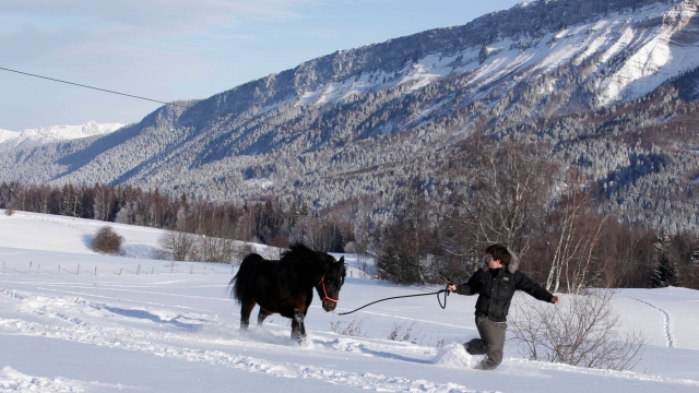  Paseo en poni en invierno