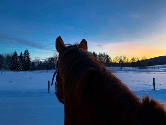  Pbaños a caballo en Saboya en pleno invierno 