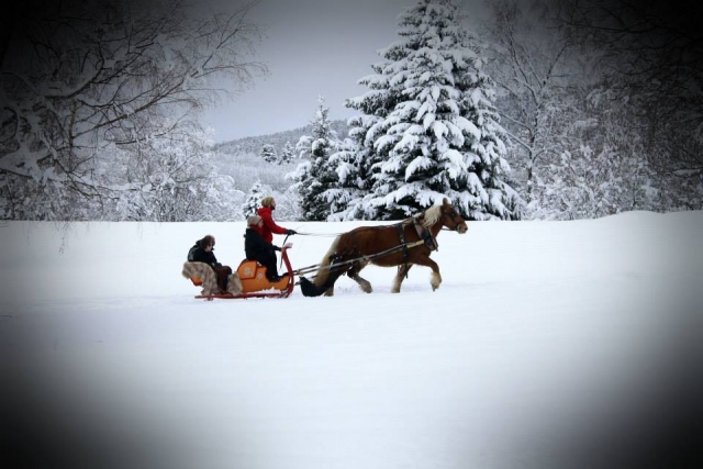  Deslizamiento sobre la nieve a bordo de un trineo a caballo 