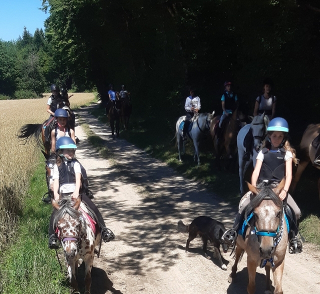  Paseo a caballo perfecto para familias 