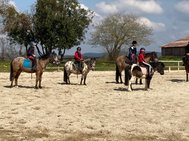  Paseo en pony para niños 