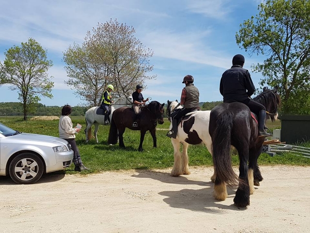 Listo para subir a caballo 