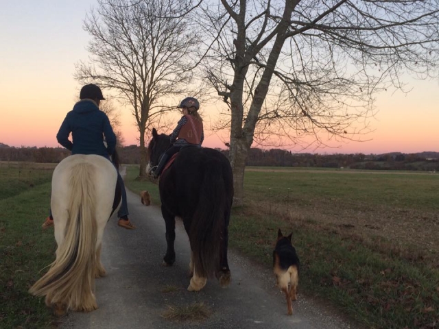  Pbaños a caballo al atardecer 