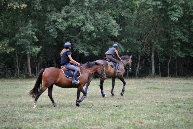 Pbaños a caballo en el corazón del bosque del Alto Garona 