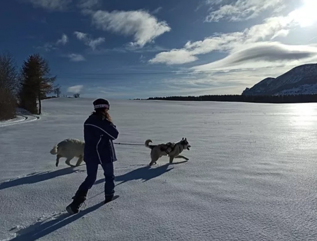  Vamos a hacer una camicrema con raquetas de nieve con nuestros caninos 
