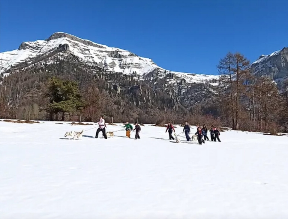 Actividad Cani-Raquettes en el corazón de los Alpes Actividad Cani-Raquettes en el corazón de los Alpes