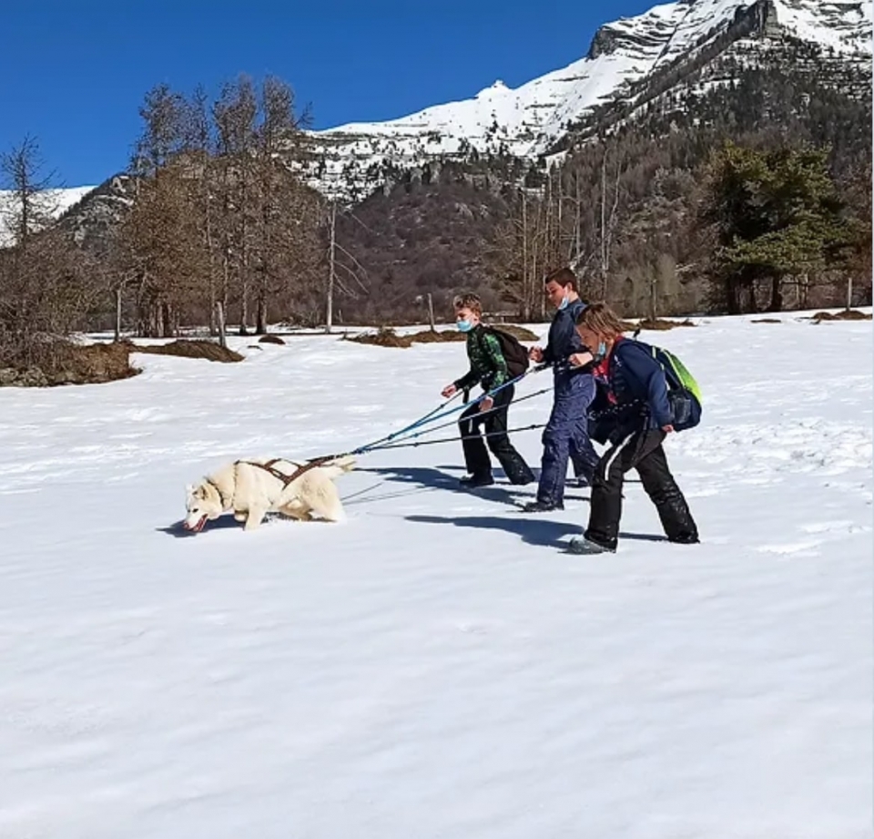 Cani-Rando en los Altos Alpes Cani-Rando en los Altos Alpes