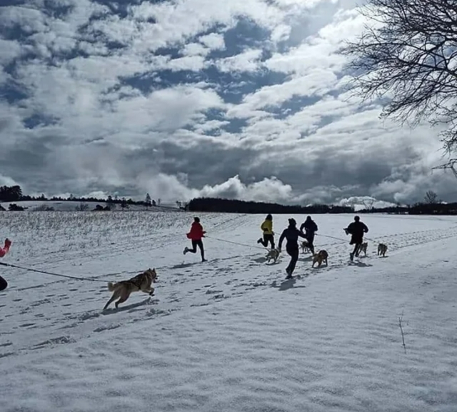  ¡Su actividad Cani-Raquetle comienza ahora! 