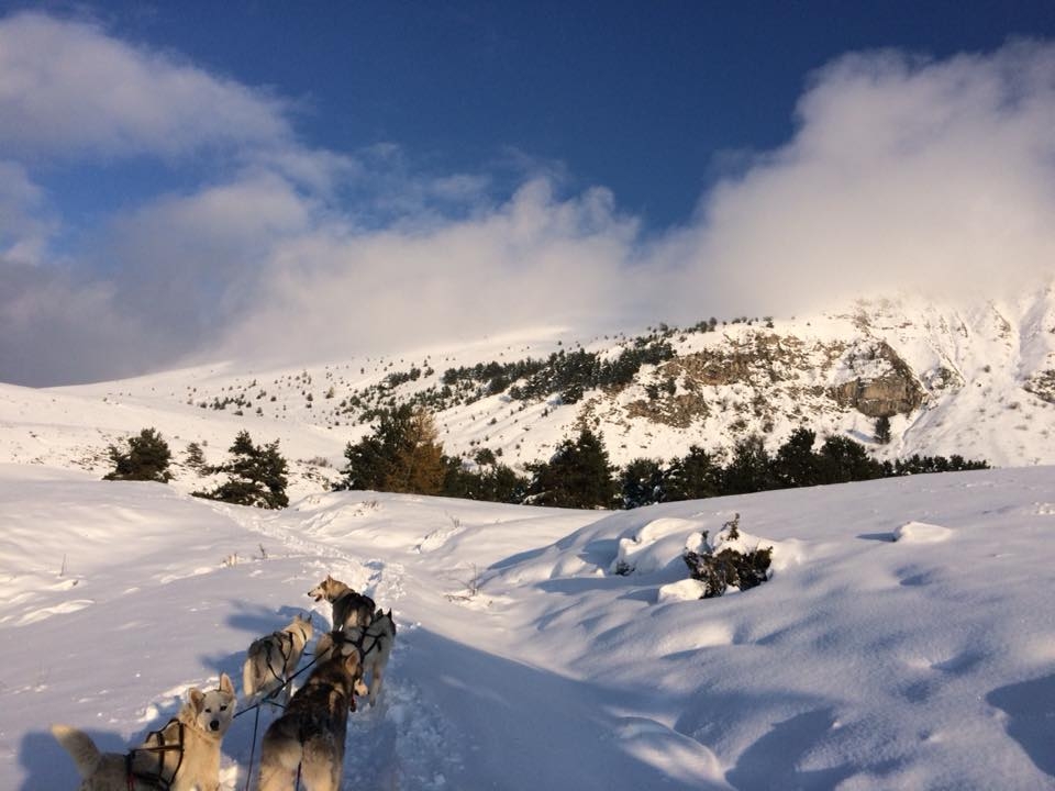 Introducción a la conducción de un carruaje en el corazón de los Alpes del Sur Introducción a la conducción de un carruaje en el corazón de los Alpes del Sur