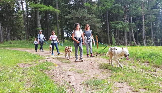 Una cani-camicrema en familia en los Altos Alpes 