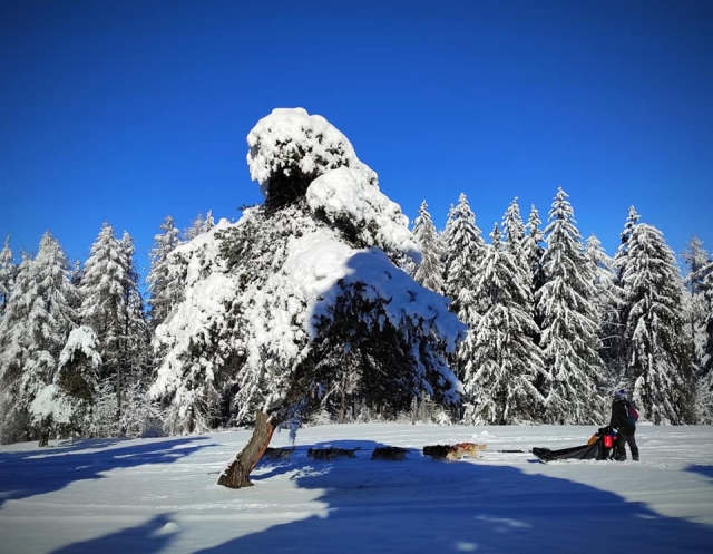  Impresionantes paisajes nevados 