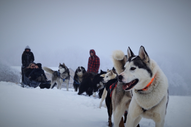  Ya se va para el bautismo de mushing 