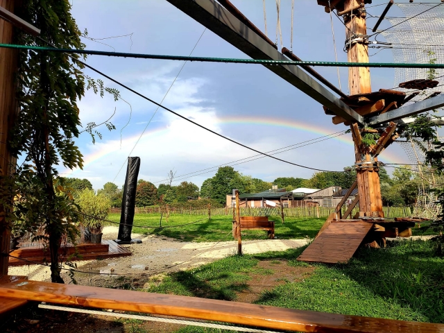  Curso de aventuras en las copas de los árboles en Val-de-Marne 