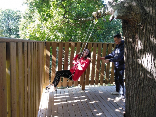 Columpio en el parque de los árboles