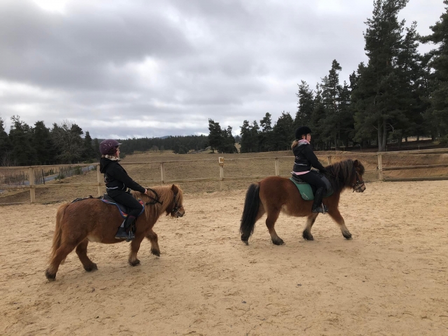  Paseo en pony adaptado al tamaño del niño 