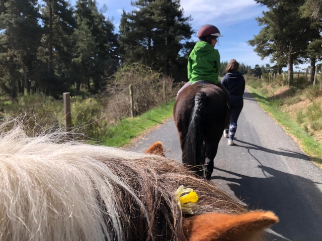  De camino para un paseo en pony 