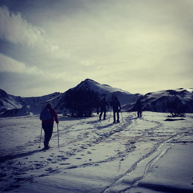 Vamos a descubrir paisajes nevados con raquetas de nieve 