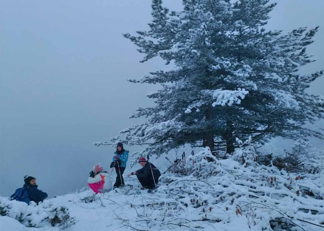  Descubrimientos de los Pirineos nevados con raquetas de nieve 